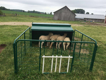 Creep Feeder for Lambs