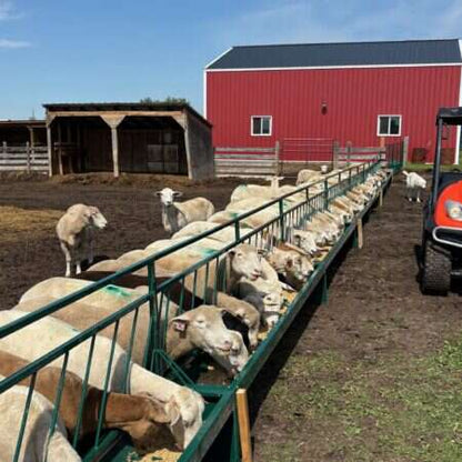 Bunk Feeder w/Slant Bar