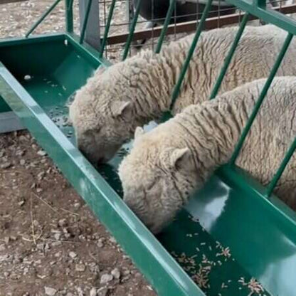 Bunk Feeder w/Slant Bar