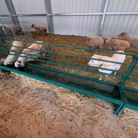Bunk Feeder w/Horizontal Adjustable Bar